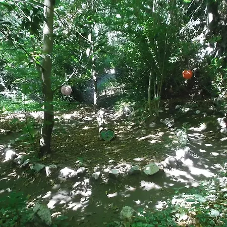 Ecoaldea Vegana Espiral Campeggio
